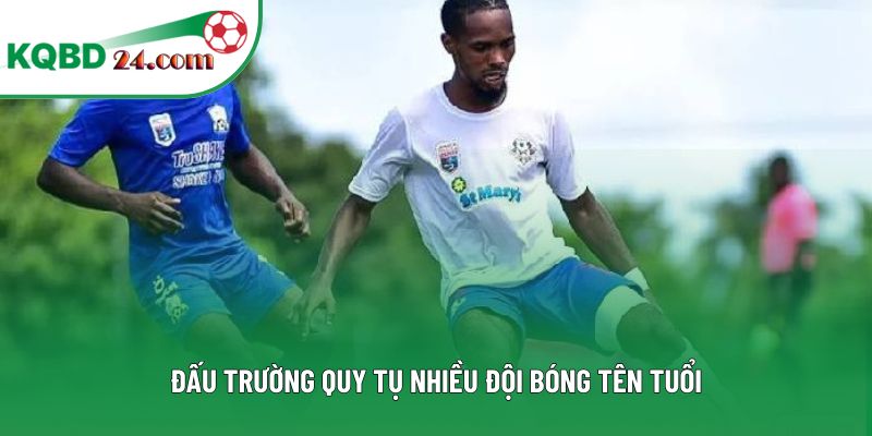 Đấu trường quy tụ nhiều đội bóng tên tuổi